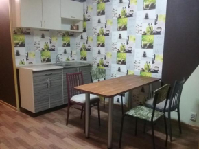 Guest house of the Cherkasov family